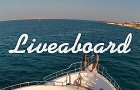 liveaboard scuba diving holidays