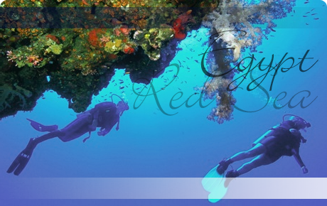 Scuba diving holidays in Egypt