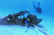 Scuba diving holidays in Jamaica