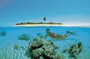 Scuba diving holidays in the Maldives