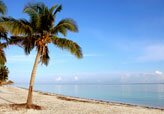 Scuba diving in Cayo Levisa