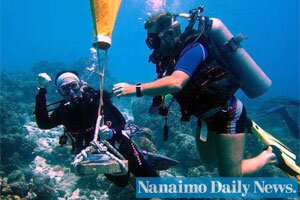 Holiday  Caribbean on Scuba Diving Holiday In The Caribbean Inspires Canadian To Turn Local